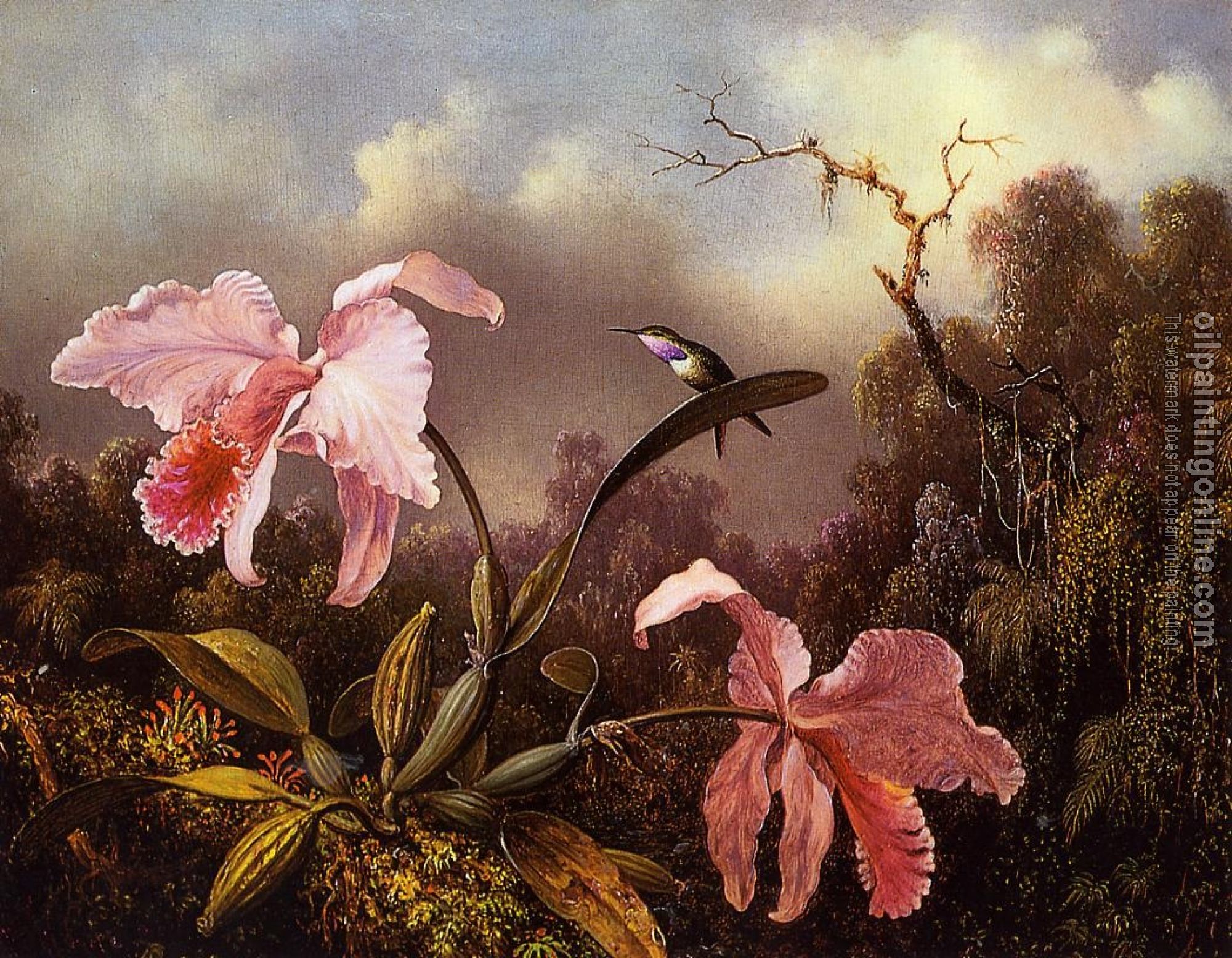 Heade, Martin Johnson - Orchids and Hummingbird